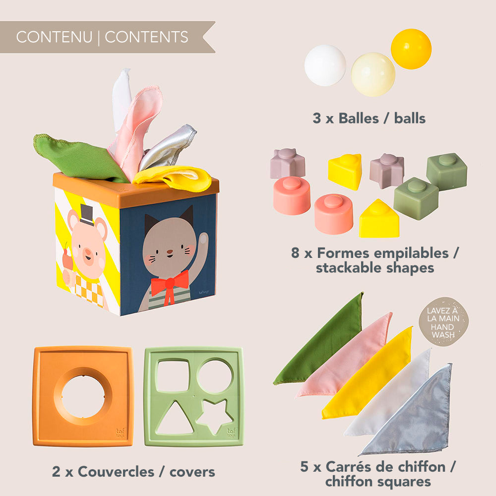 Taf Toys - Cube jeu et découverte
