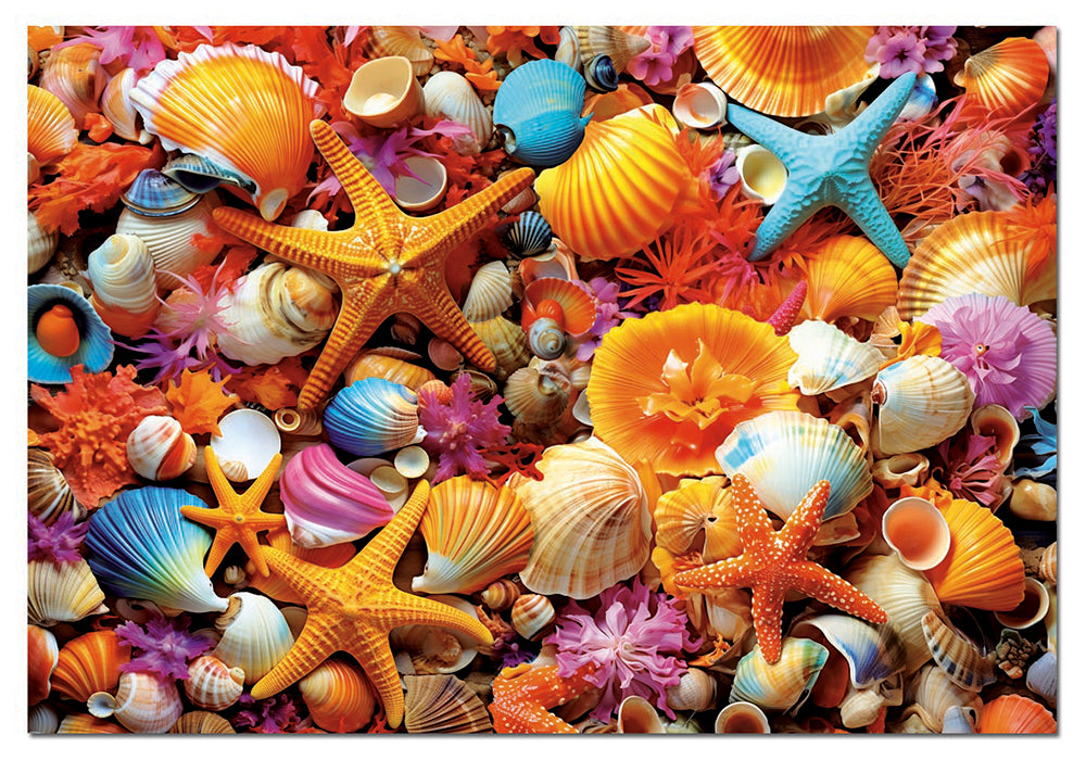 Collage de coquillages, 1000 pièces