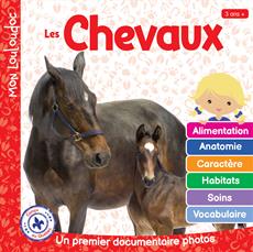 Les chevaux Documentaire photos