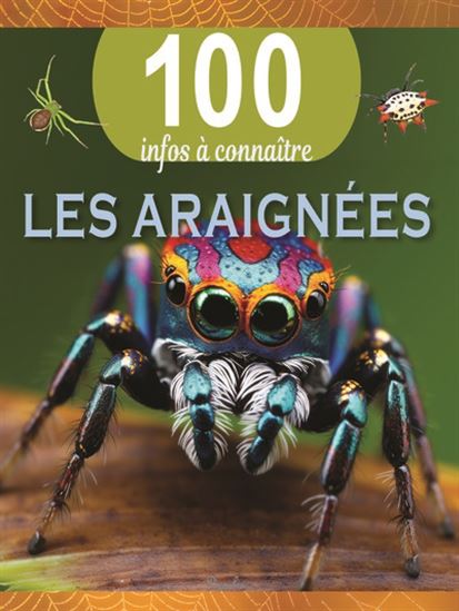 Les araignées 100 infos à connaitre