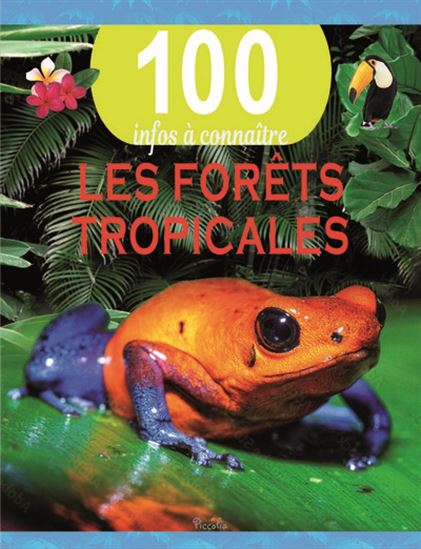 Les forêts tropicales 100 infos à connaitre