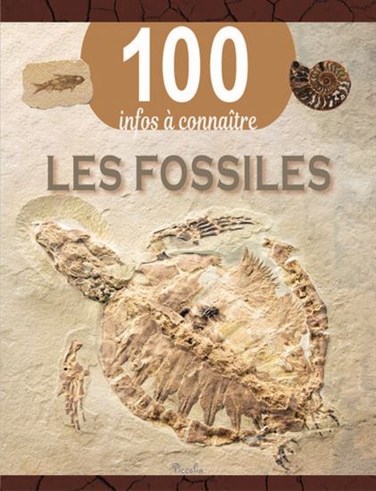 Les fossiles 100 infos à connaitre