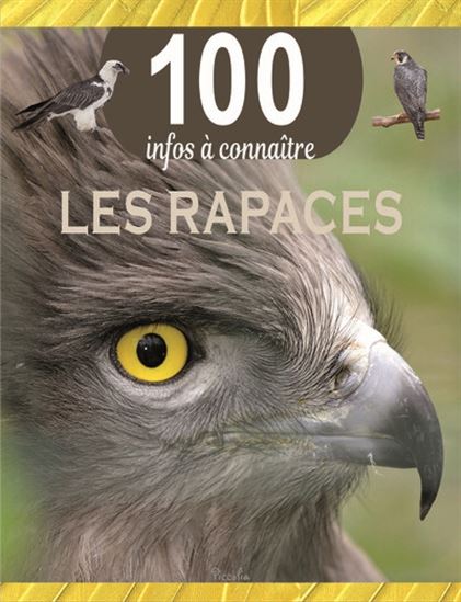 Les rapaces 100 infos à connaitre