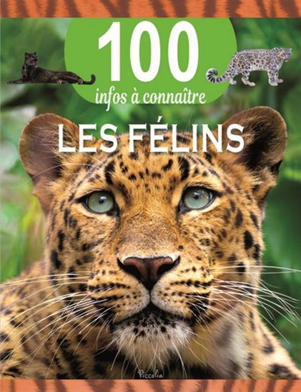 Les félins 100 infos à connaitre