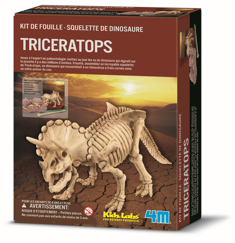 Jeu D'Archeologie Triceratops