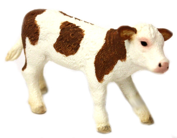 Veau Simmental