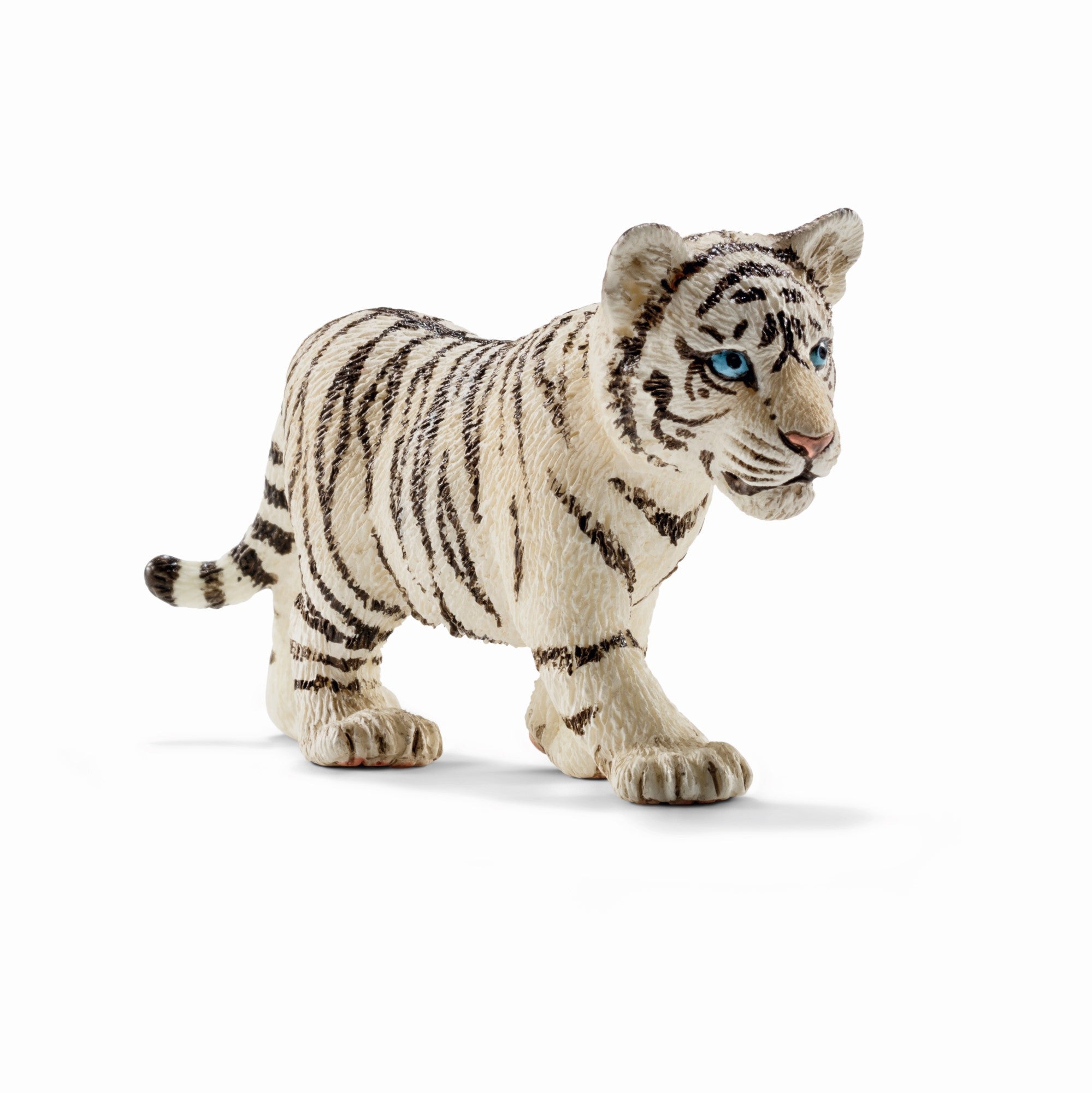 Bébé tigre blanc