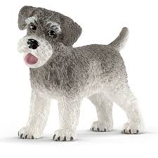 Schnauzer nain