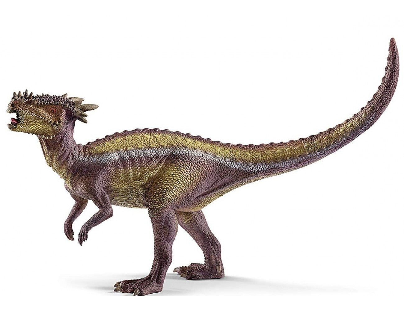 Dracorex