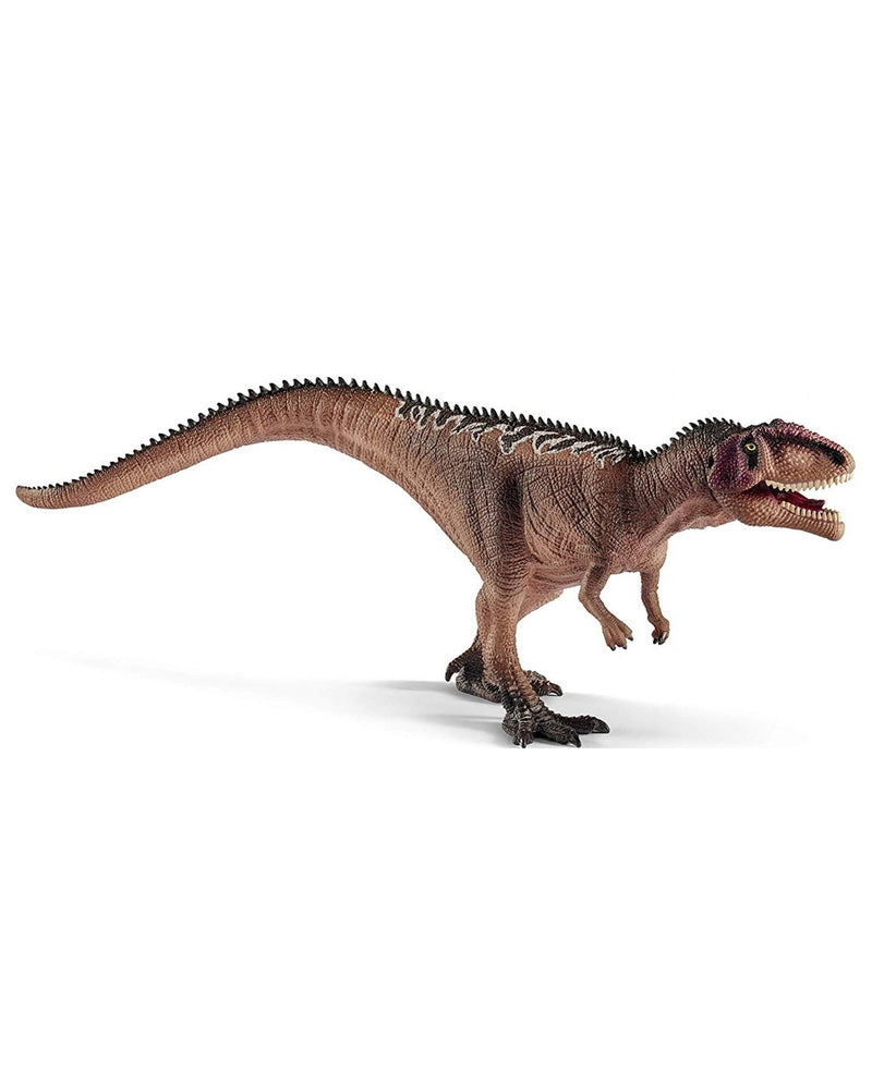 Jeune giganotosaure