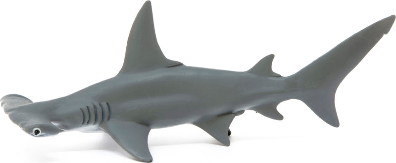 Requin-marteau