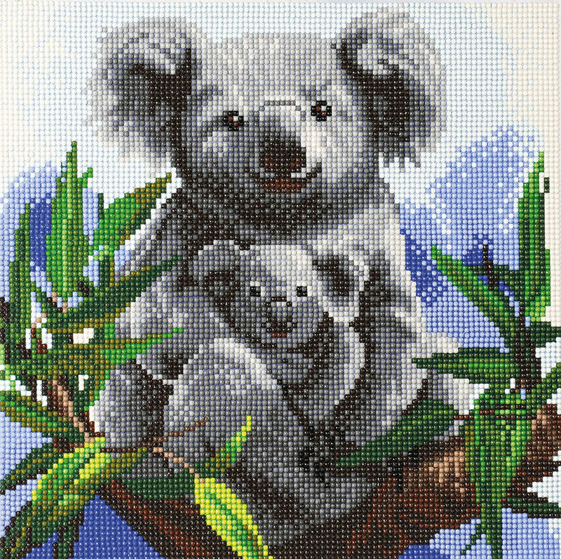 Peinture diamants Cuddly Koalas