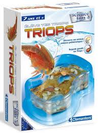 Triops