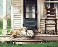 Peinture à numéros Journée de chiens paresseux 20X