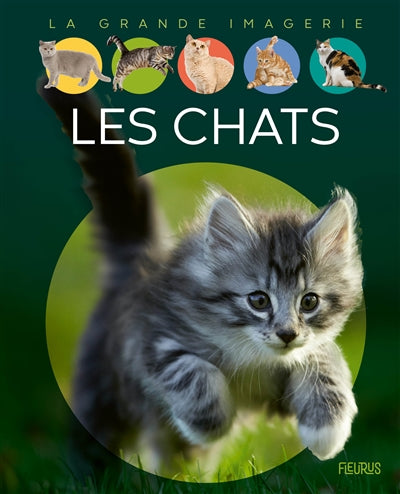 La grande imagerie Les chats