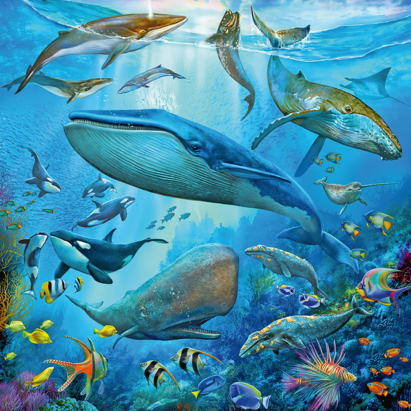 Le monde animal de l'océan - 3 x 49 pièces
