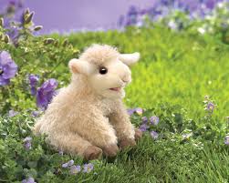 Marionnette petit agneau