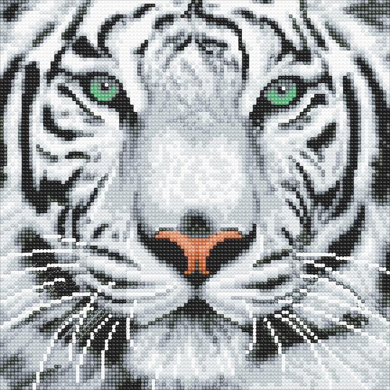 Crystal art Tigre blanc