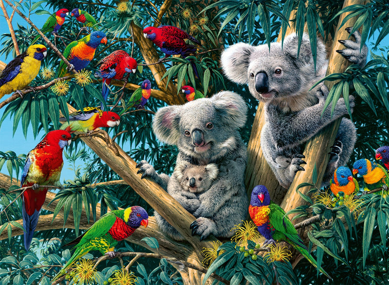 Koalas dans un arbre Casse-tête de 500 pièces