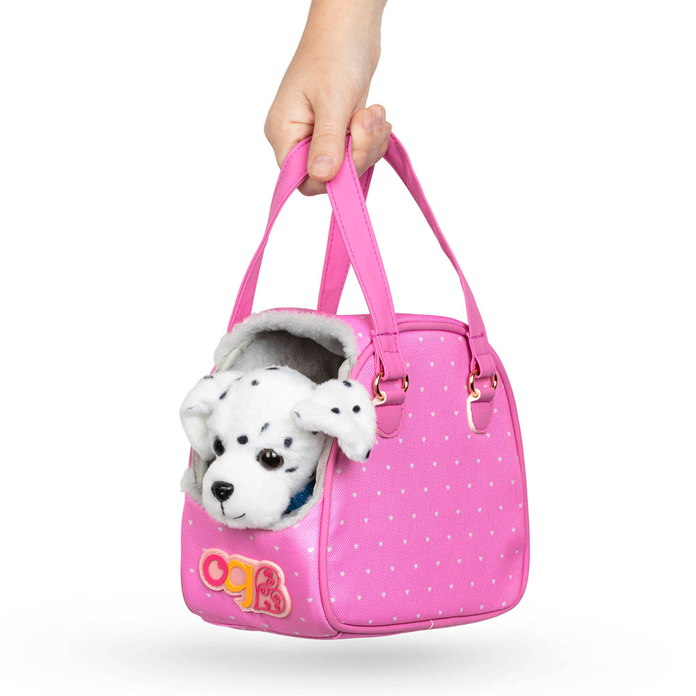 Chiot dalmatien  et accessoires