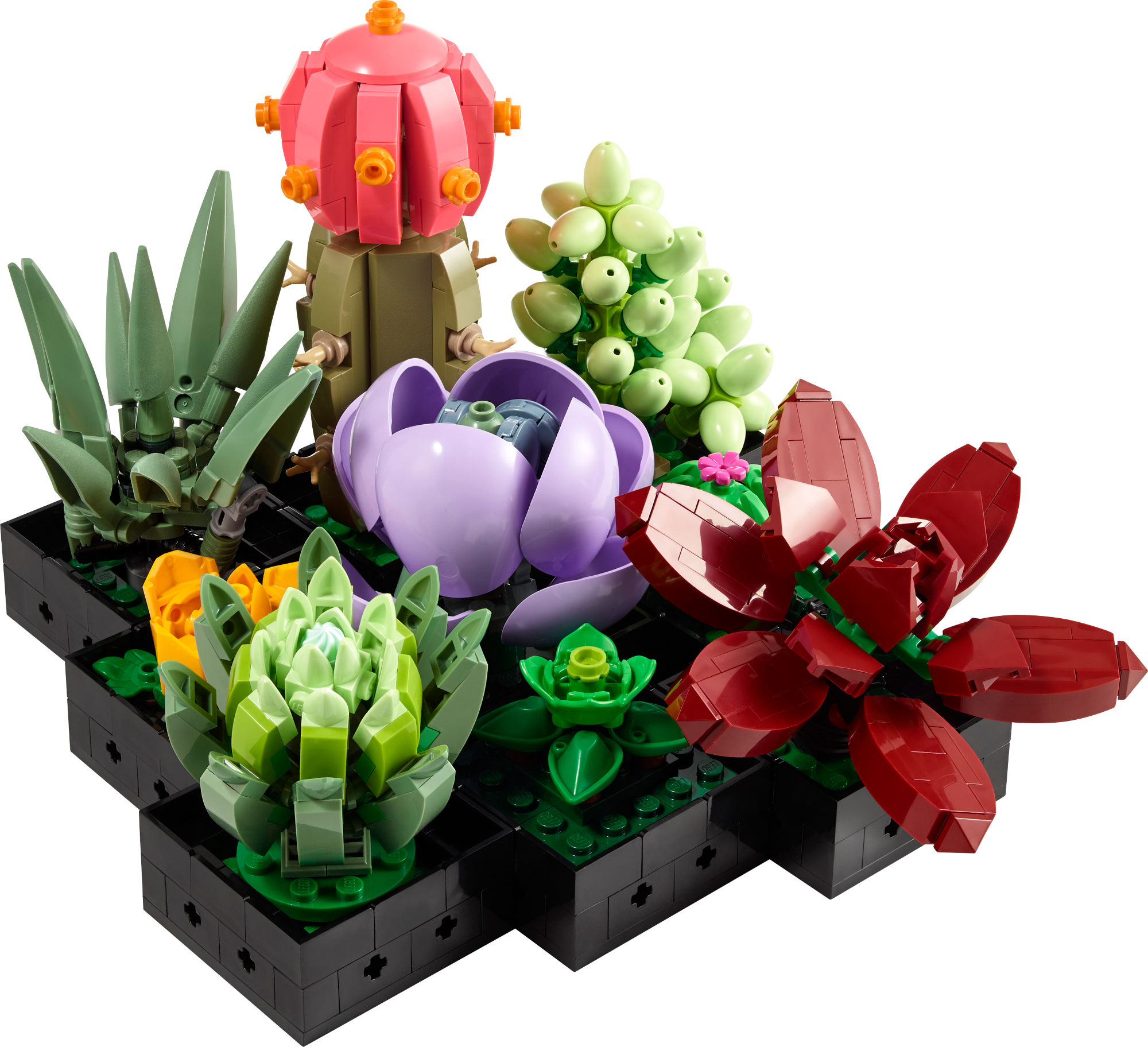 Les succulentes, LEGO 10309