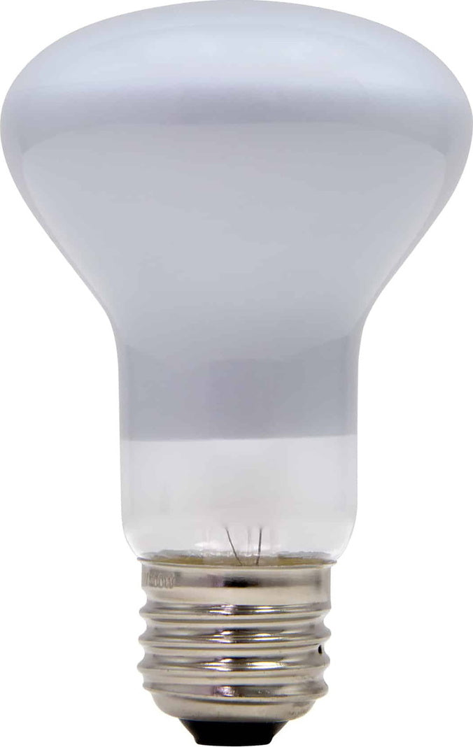 Lampe de remplacement pour Lampe à lave