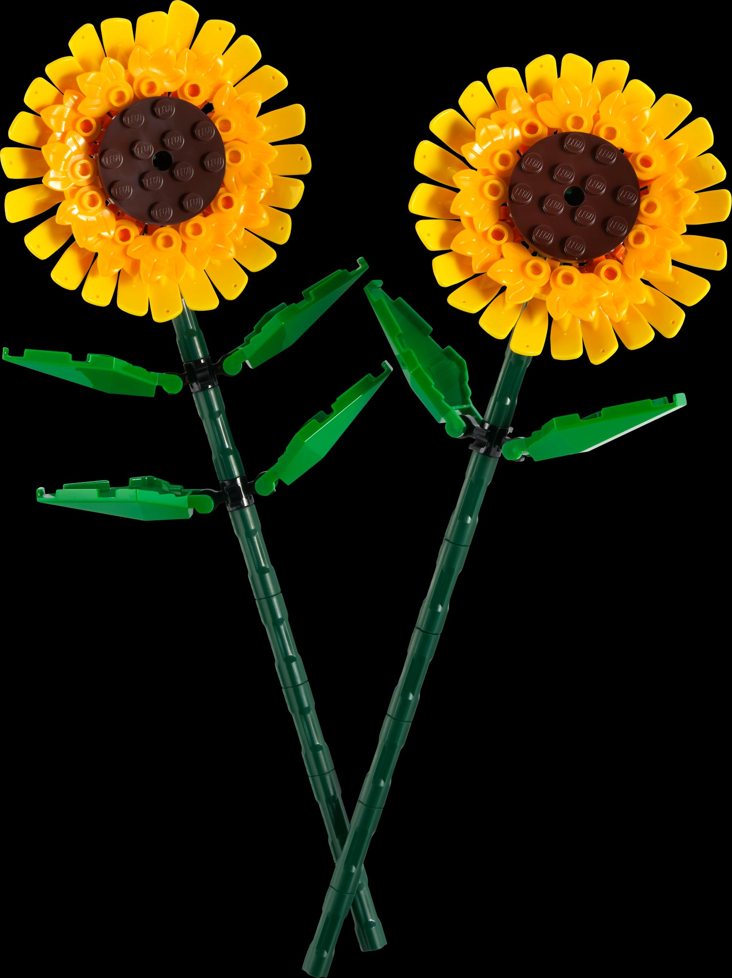 Les tournesols