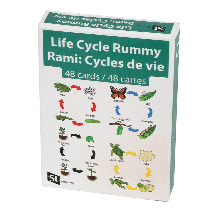 Jeu Rami: Cycle de de la vie