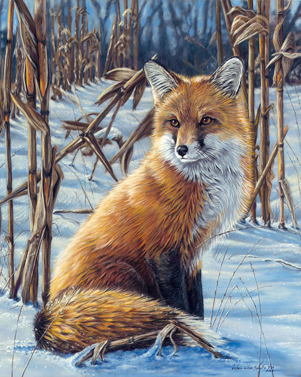 Renard dans la neige sur cadre