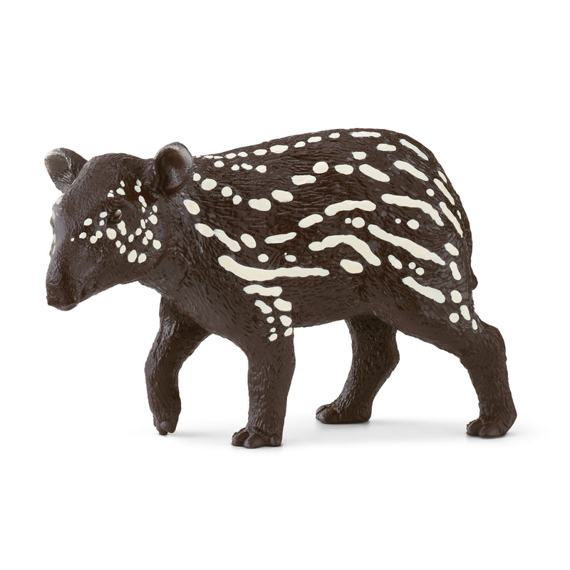 Bébé Tapir