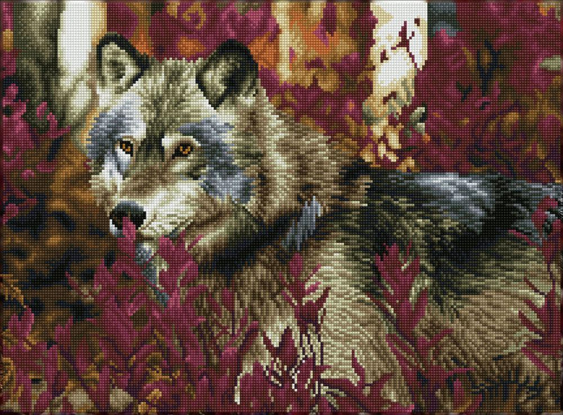 Diamond Dotz Square - Autumn Wolf