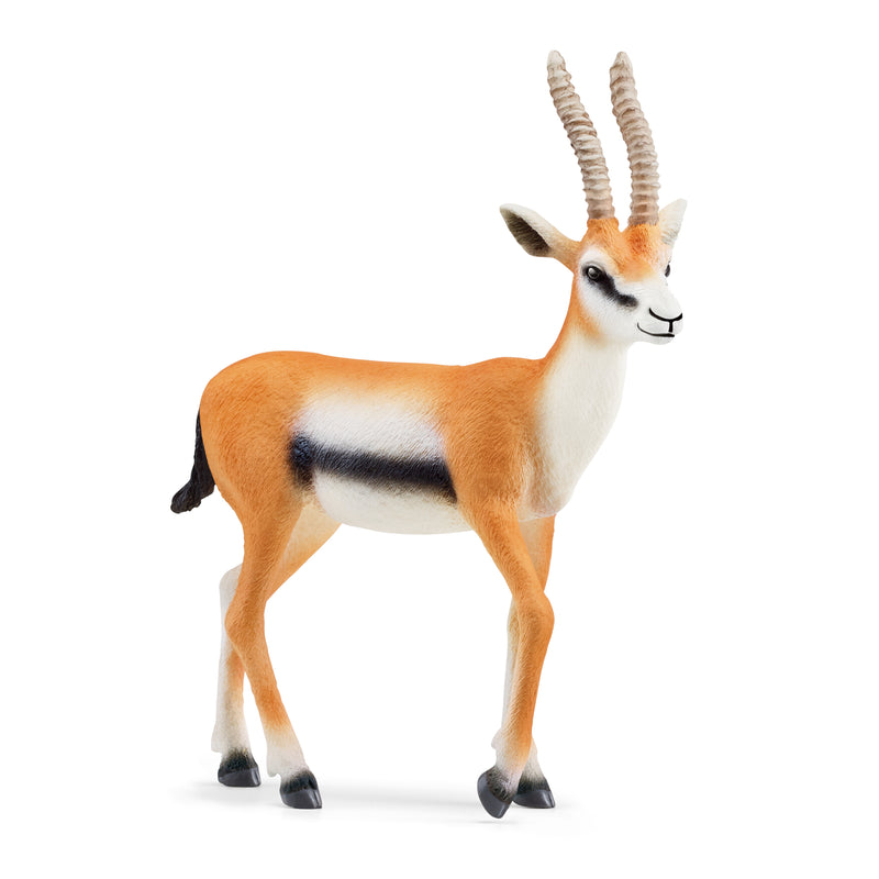 Figurine Gazelle de Thomson
