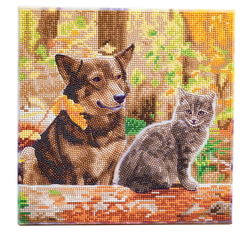 Peinture à diamants chat et chien dans les bois