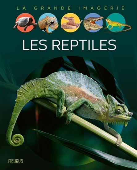 La grande imagerie Les reptiles