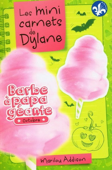 Les mini carnets de Dylane 02