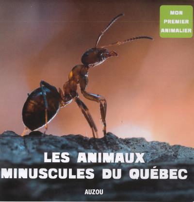 Les animaux minuscules du Québec