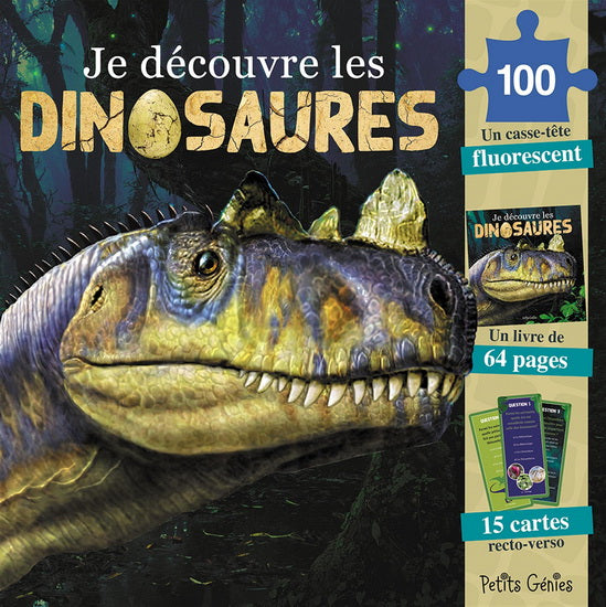 Casse-tête 100 morceaux Je découvre les dinosaures