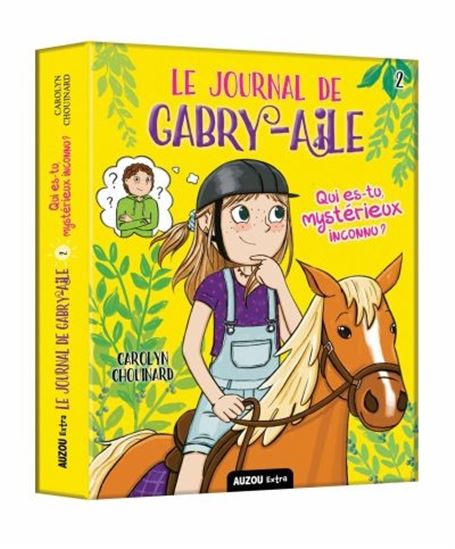 Le journal de Gabry-Aile 02 Qui es-tu mystérieux i