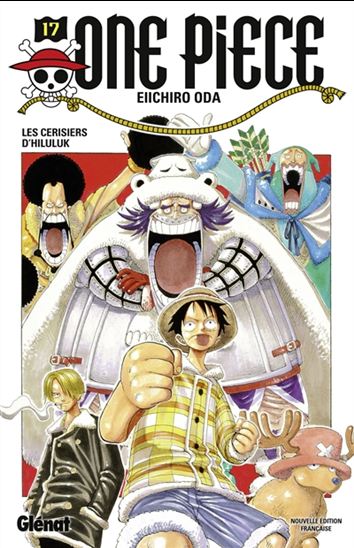 One Piece 17