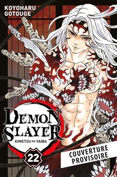 Demon Slayer 22