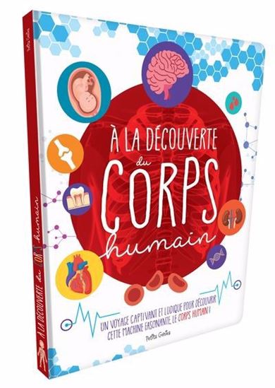 À la découverte du corps humain