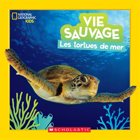 Vie sauvage Les tortues de mer