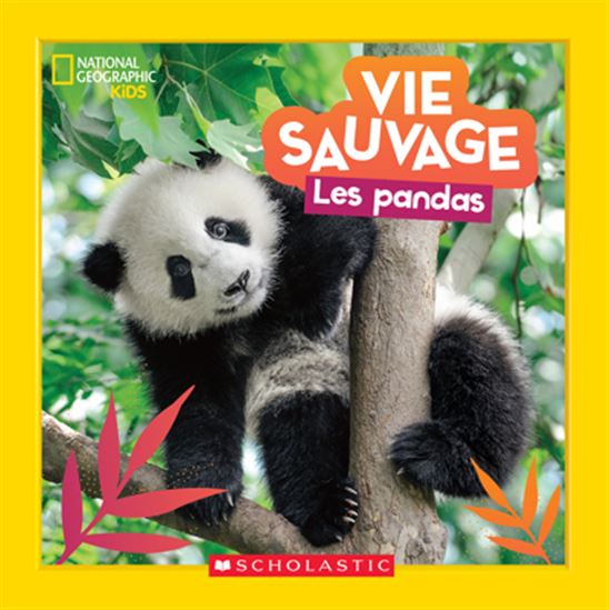 Vie sauvage Les pandas