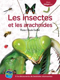 Les insectes et les arachnides