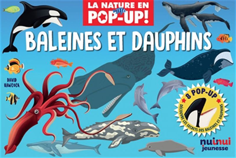 Baleines et dauphins Pop-up