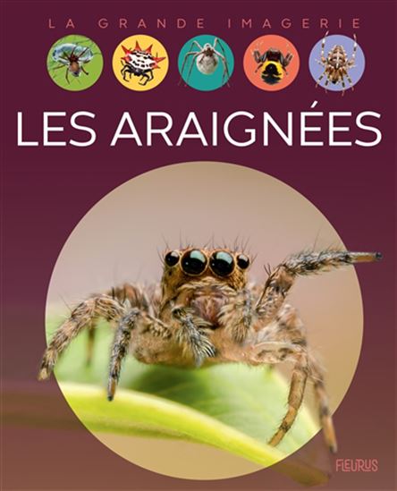 La grande imagerie Les araignées