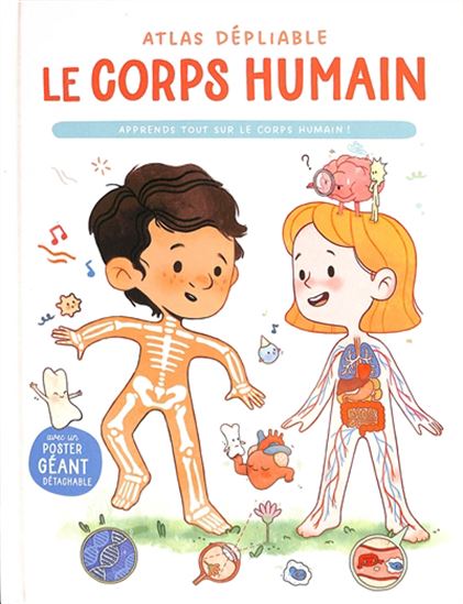 Mon atlas dépliant Le corps humain