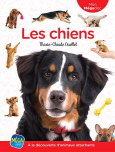 Les chiens Mon Mégadoc