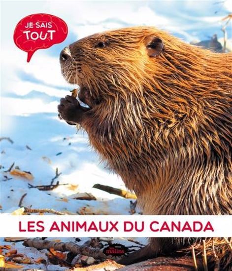 Les animaux du Canada Je sais tout